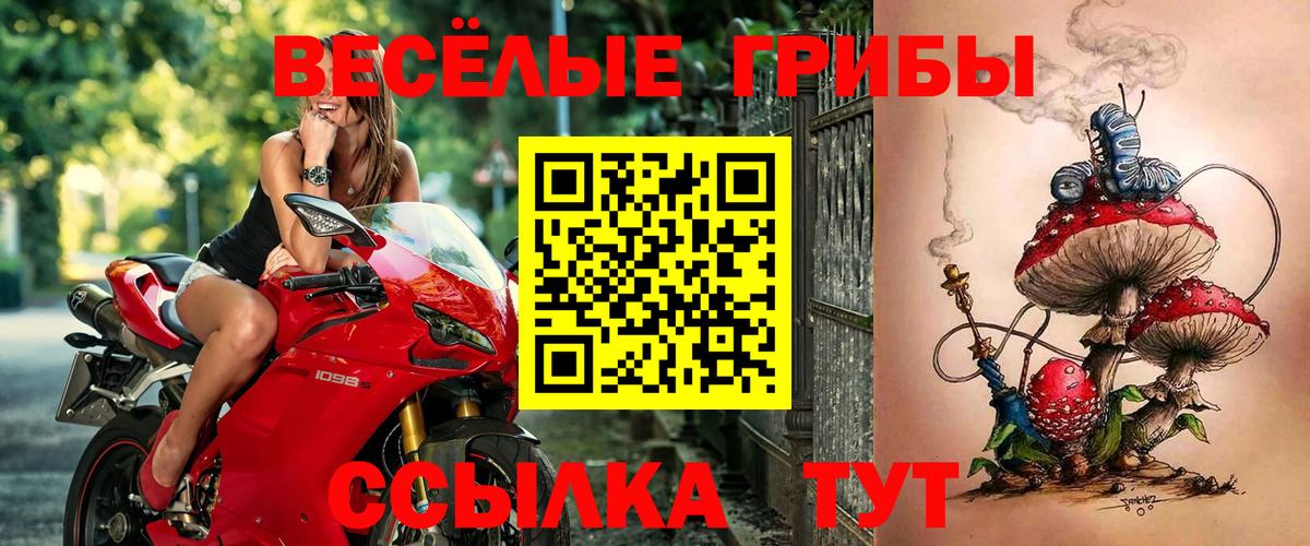 Россошь  Галлюциногенные грибы ЛСД  Галлюциногенные грибы Psilocybe  Вход с VPN 